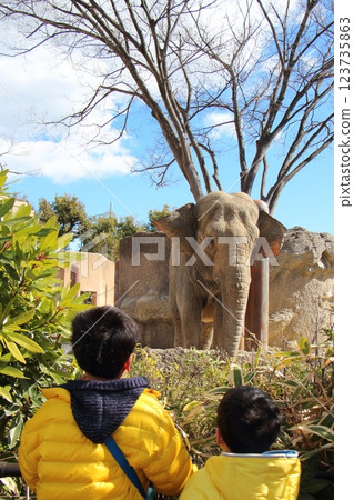 兄弟倆在動物園玩耍 兄弟倆在動物園玩耍 123735863