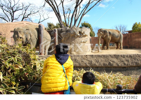 Brothers playing at the zoo 123735902