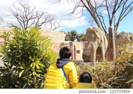 Brothers playing at the zoo 123735904