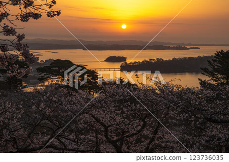 Dawn in Matsushima in spring 123736035