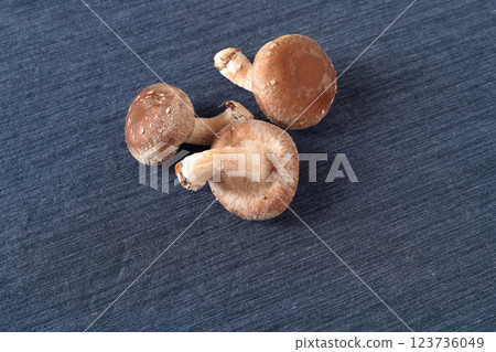 Shiitake mushrooms 123736049