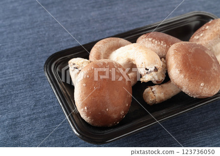 Shiitake mushrooms Shiitake mushrooms 123736050