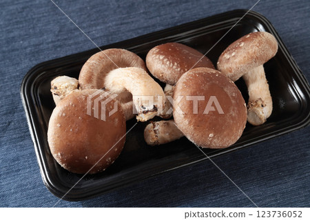 Shiitake mushrooms Shiitake mushrooms 123736052