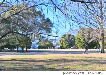 Scenery of the Minuma Green Center in the Civic Forest (Saitama City, Saitama Prefecture) Scenery of the Minuma Green Center in the Civic Forest (Saitama City, Saitama Prefecture) 123736056