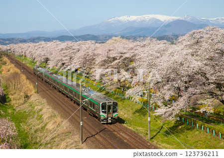 穿過瞳千本櫻的電車 穿過瞳千本櫻的電車 123736211