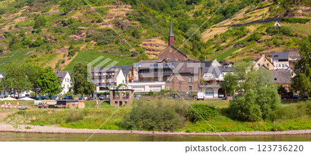 Traditional Village on the Moselle River near Cochem, Germany 123736220