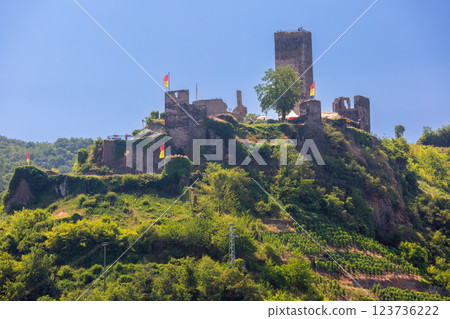 Ruins of Metternich Castle, Beilstein, Germany 123736222