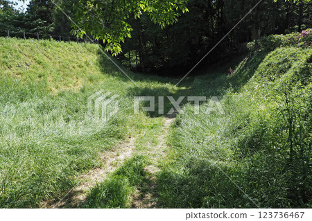 Minowa Castle: Dry moat between the main enclosure and the Gozenkuruwa [Takasaki City, Gunma Prefecture] 123736467