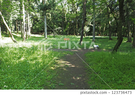 Remains of the Sannomaru section of Minowa Castle [Takasaki City, Gunma Prefecture] 123736473