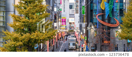 「東京」西新宿：舊青梅街道的秋景 123736478