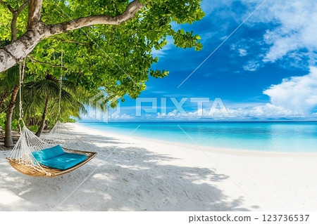 Tropical beach background as summer relax landscape with beach swing or hammock and white sand and calm sea for beach template. Amazing beach scene vacation and summer holiday concept. Luxury travel 123736537