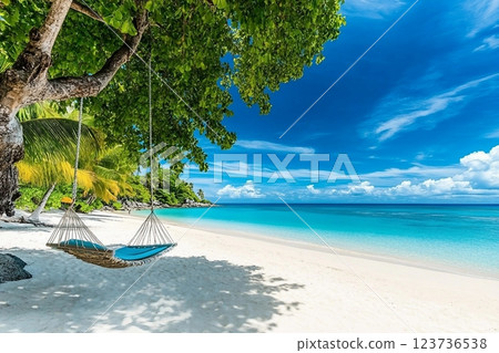 Tropical beach background as summer relax landscape with beach swing or hammock and white sand and calm sea for beach template. Amazing beach scene vacation and summer holiday concept. Luxury travel 123736538