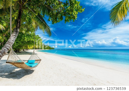 Tropical beach background as summer relax landscape with beach swing or hammock and white sand and calm sea for beach template. Amazing beach scene vacation and summer holiday concept. Luxury travel 123736539