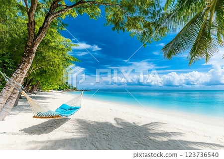 Tropical beach background as summer relax landscape with beach swing or hammock and white sand and calm sea for beach template. Amazing beach scene vacation and summer holiday concept. Luxury travel Tropical beach background as summer relax landscape with beach swing or hammock and white sand and calm sea for beach template. Amazing beach scene vacation and summer holiday concept. Luxury travel 123736540
