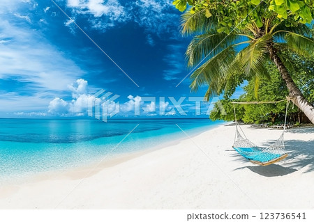 Tropical beach background as summer relax landscape with beach swing or hammock and white sand and calm sea for beach template. Amazing beach scene vacation and summer holiday concept. Luxury travel 123736541