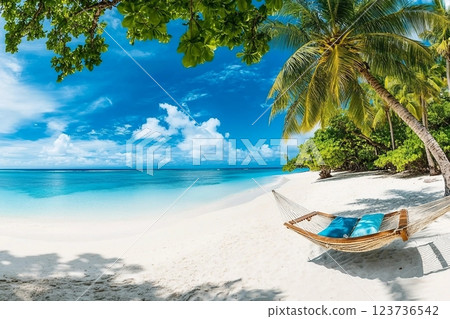 Tropical beach background as summer relax landscape with beach swing or hammock and white sand and calm sea for beach template. Amazing beach scene vacation and summer holiday concept. Luxury travel 123736542