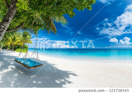Tropical beach background as summer relax landscape with beach swing or hammock and white sand and calm sea for beach template. Amazing beach scene vacation and summer holiday concept. Luxury travel 123736543