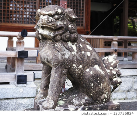 Guardian lion at Isanagi Shrine Guardian lion at Isanagi Shrine 123736924