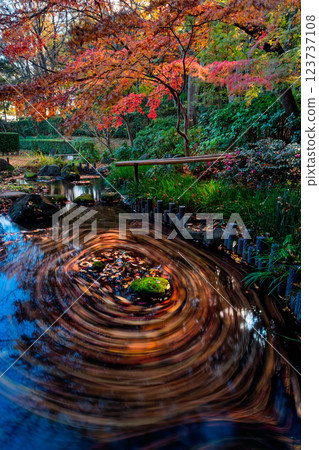 Autumn leaves at Tsuzuki Folk House Garden in Kohoku New Town 123737108