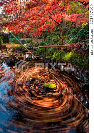 港北新城都築起民宅花園的紅葉 港北新城都築起民宅花園的紅葉 123737109