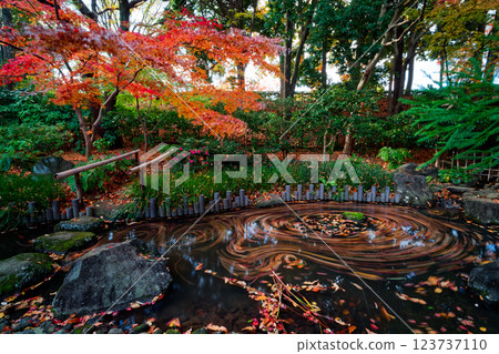 Autumn leaves at Tsuzuki Folk House Garden in Kohoku New Town 123737110