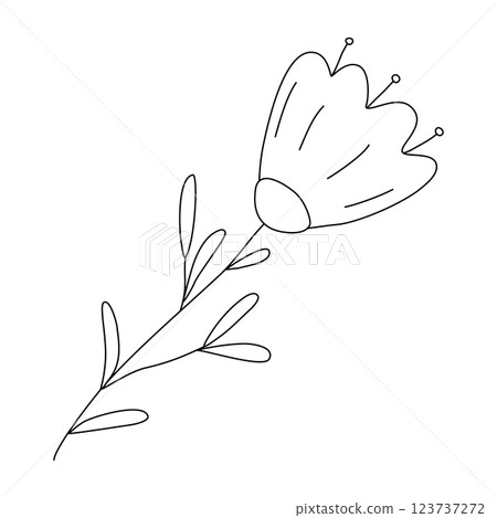 Simple stylized blooming wildflower with leaves on stem, doodle vector outline for coloring book 123737272