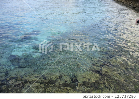 透明的大海 透明的大海 123737286