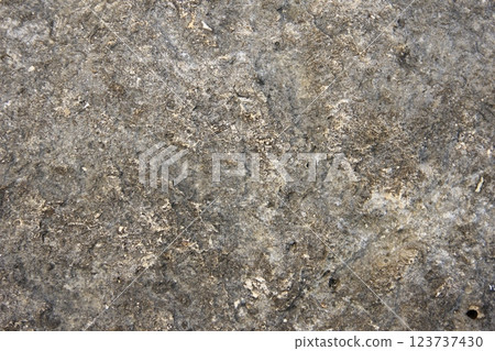 The size is about two millimeters 123737430