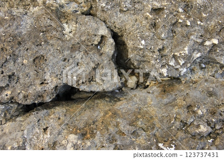 Ice on the surface of a rock 123737431