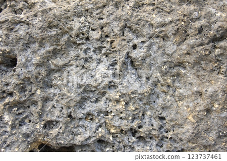 Ice attached to rocks 123737461