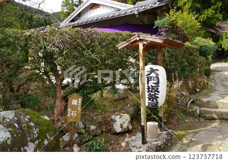 Nachi's waterfall 123737718