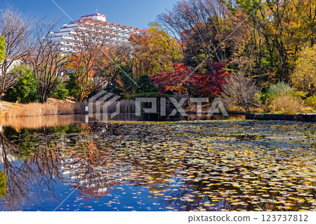 秋天的港北新市鎮Seseragi公園風景 秋天的港北新市鎮Seseragi公園風景 123737812