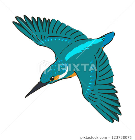 Flying Kingfisher illustration Flying Kingfisher illustration 123738075