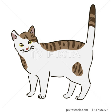 Illustration of a brown and white cat Illustration of a brown and white cat 123738076