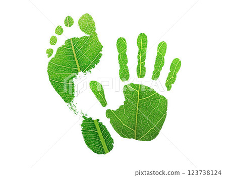 green leaf growing footprints and hands of leaves. , co2 symbol isolated on White Background. Reduce CO2 emission concept.Clean and friendly environment without carbon dioxide emissions. 123738124