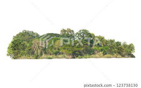 Group of tree isolated on white,tropical trees isolated used for design, advertising and architecture 123738130