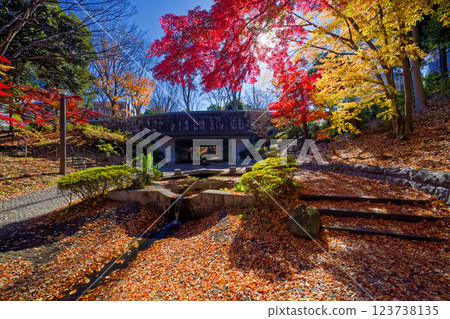 港北新城笹文年路的紅葉 123738135