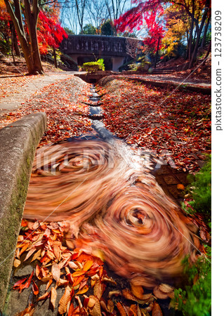 Autumn leaves on Sasabunen Road in Kohoku New Town 123738209