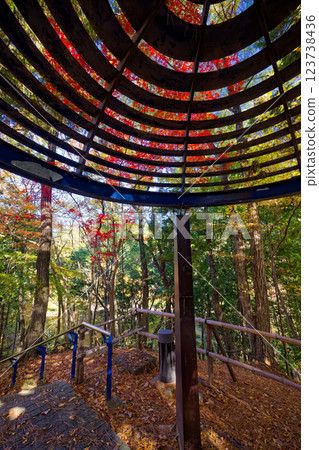 Autumn leaves in Kohoku New Town and Tsuzuki Chuo Park 123738436