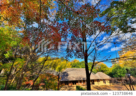 Autumn leaves at Tsuzuki Folk House Garden in Kohoku New Town 123738646