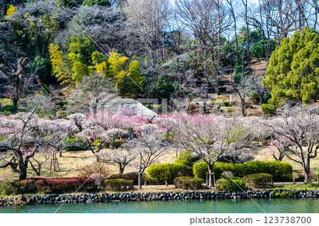Yakushiike Park, Plum Garden, Machida City, Tokyo, a metropolitan designated scenic spot 123738700