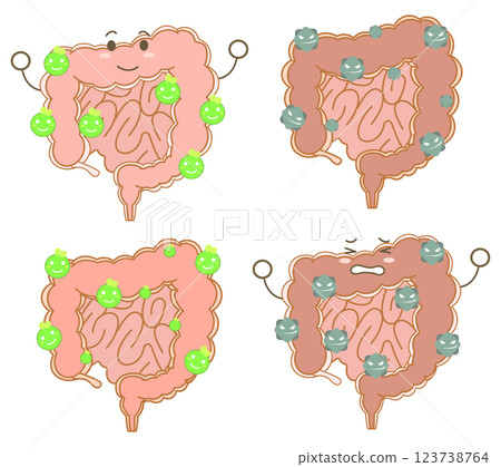 以有益細菌為主的大腸和以有害細菌為主的大腸的字符插圖集 以有益細菌為主的大腸和以有害細菌為主的大腸的字符插圖集 123738764