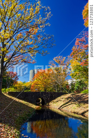 Autumn leaves at Kohoku New Town/Ohara Minemichi Park 123738801