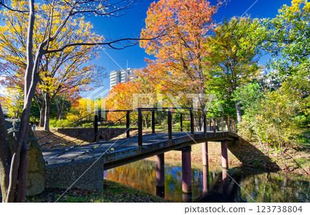 Autumn leaves at Kohoku New Town/Ohara Minemichi Park 123738804