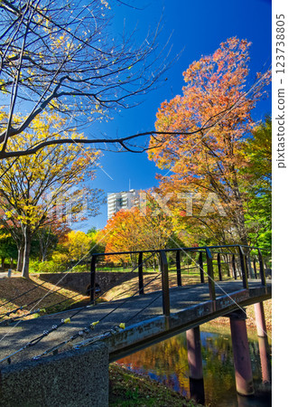 Autumn leaves at Kohoku New Town/Ohara Minemichi Park 123738805