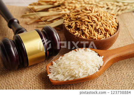 Judge gavel hammer with good grain rice from agriculture farm. Law and justice court concept. Judge gavel hammer with good grain rice from agriculture farm. Law and justice court concept. 123738884