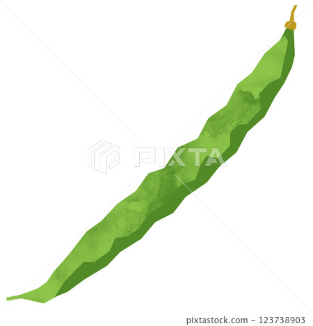 切花式青豆 123738903