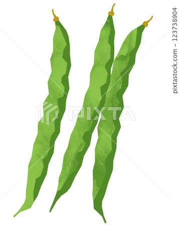 切花式青豆 123738904