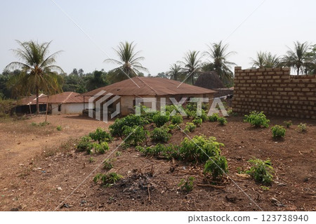 Feiba Village, Bo County (Sierra Leone) 123738940