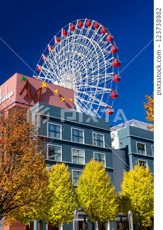 港北新城中心北部的銀杏葉黃葉 123738982